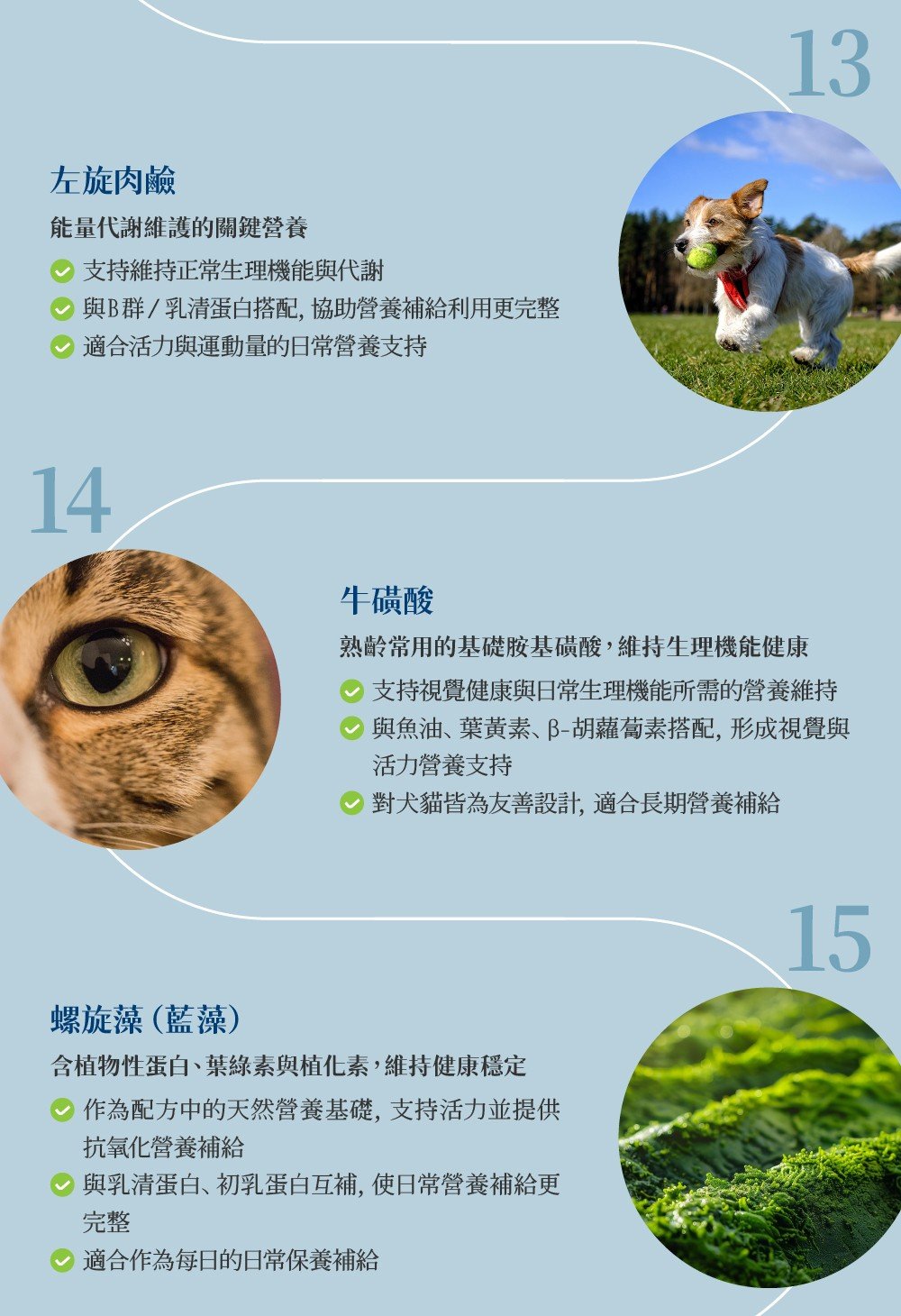 【犬貓用】佩健PetGain 全能營養粉（60包） 介紹圖 15