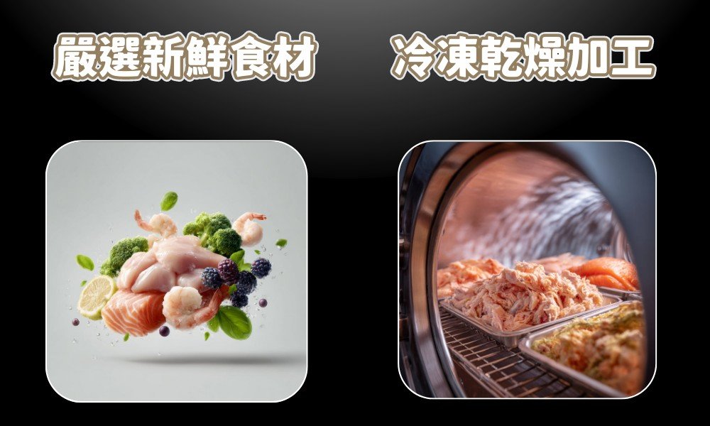 舟屋凍乾鮮食餐 介紹圖 10